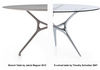 Cappellini Branch Table by Jakob Wagner copy of E-volved table?