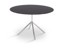 Shell Dining 120