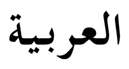 الآن، موقع فويرا دينطرو FueraDentro  متاح باللّغة العربيّة؛